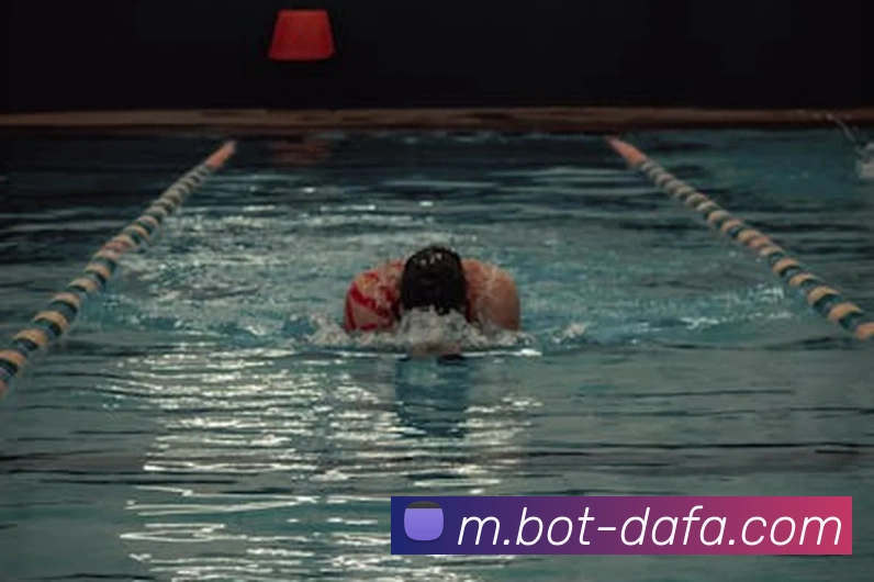 大发彩票APP 封面图